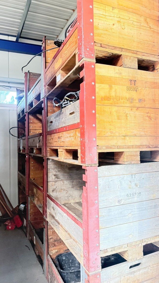 Pallets: robuste Holzpaloxen / Palettenboxen – Usato da Niederbipp venduto da Donboss 1