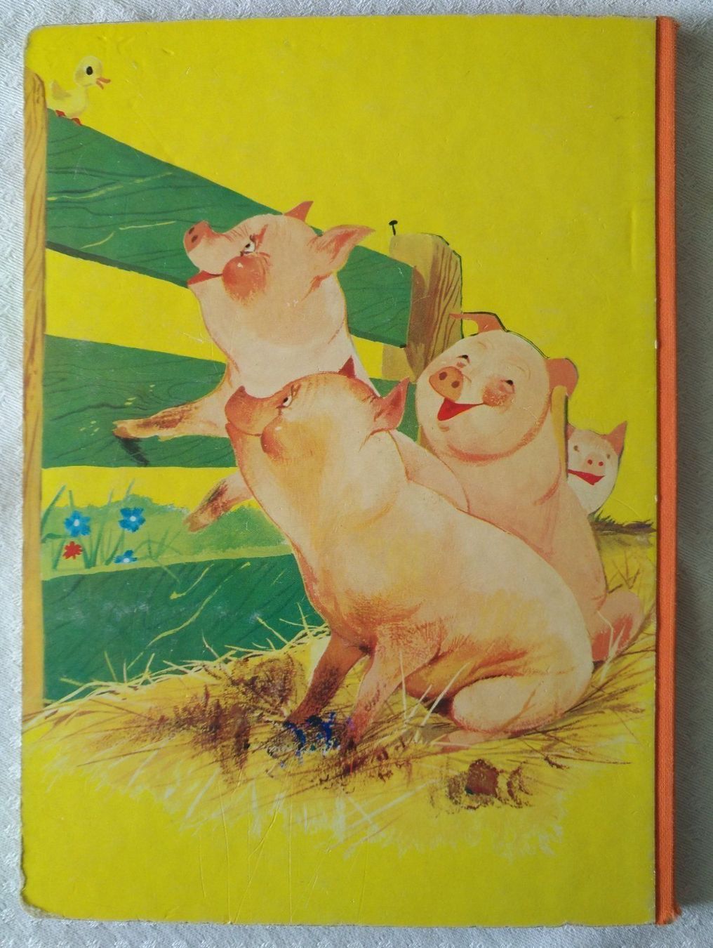 Libri: Kikeriki, mein Federvieh - Kinderbuch – Usato da Chur venduto da rh86424 3