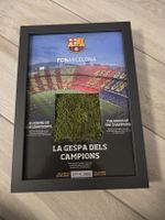 FC Barcelona Rasen Camp Nou limitiertes Sammlerobjekt 
