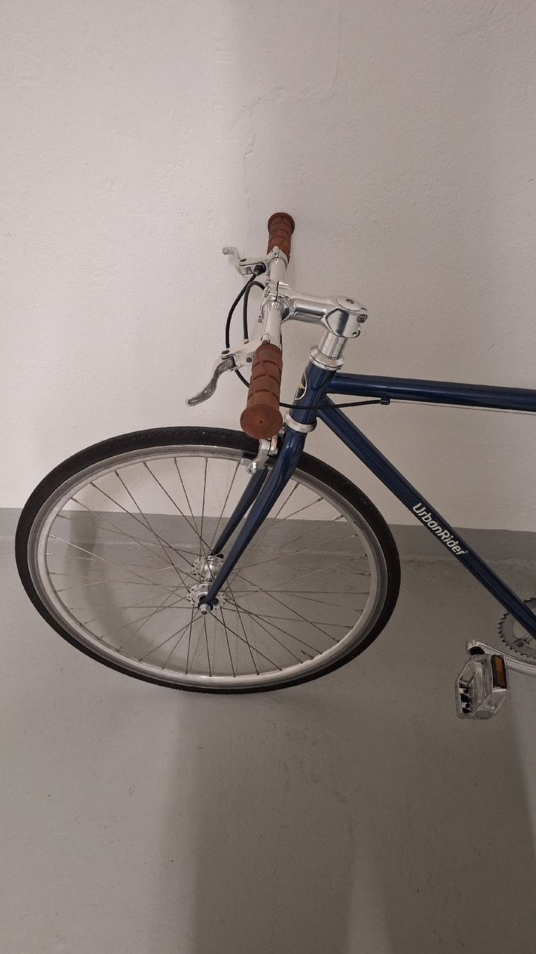 Biciclette: Urbanrider Singlespeed-Bike – Usato da Zürich venduto da lea_2v26 2