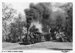 D.H.R. Train at Sukna Forest, Dampflokomotive