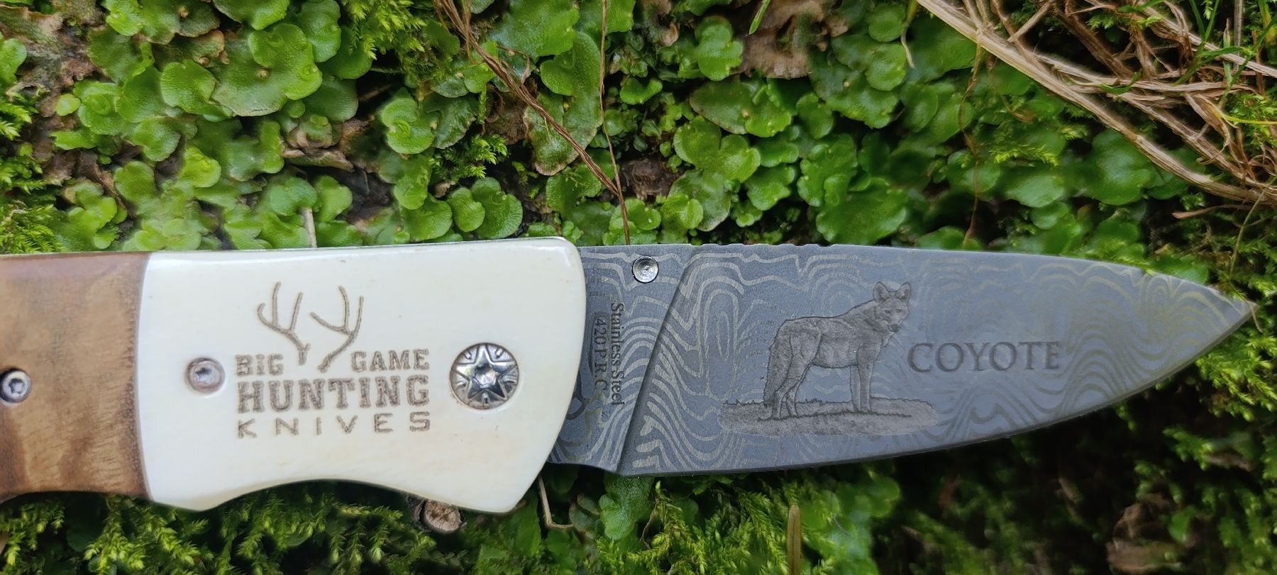 Taschenmesser: American Mint Taschenmesser  – Gebraucht aus Oppligen von can_rf8g 3