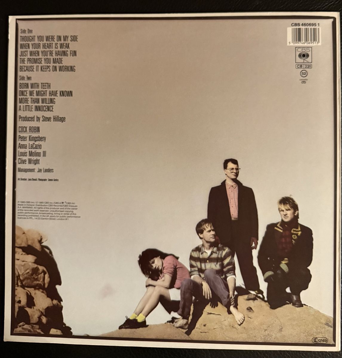 Dischi in vinile: Cock Robin LP Schallplatte - Vinyl – Usato da Goldach venduto da Messerguru 1