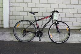 Velo 50