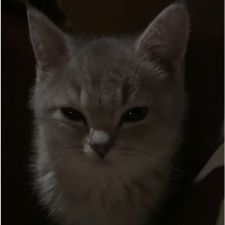 Profile image of S1ma