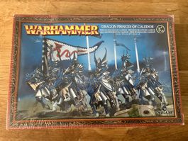 WARHAMMER FANTASY Hochelfen Drachenprinzen von Caledor