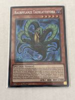 Raubpflanze Taublatthydra Yu-Gi-Oh Karte FUEN-DE002