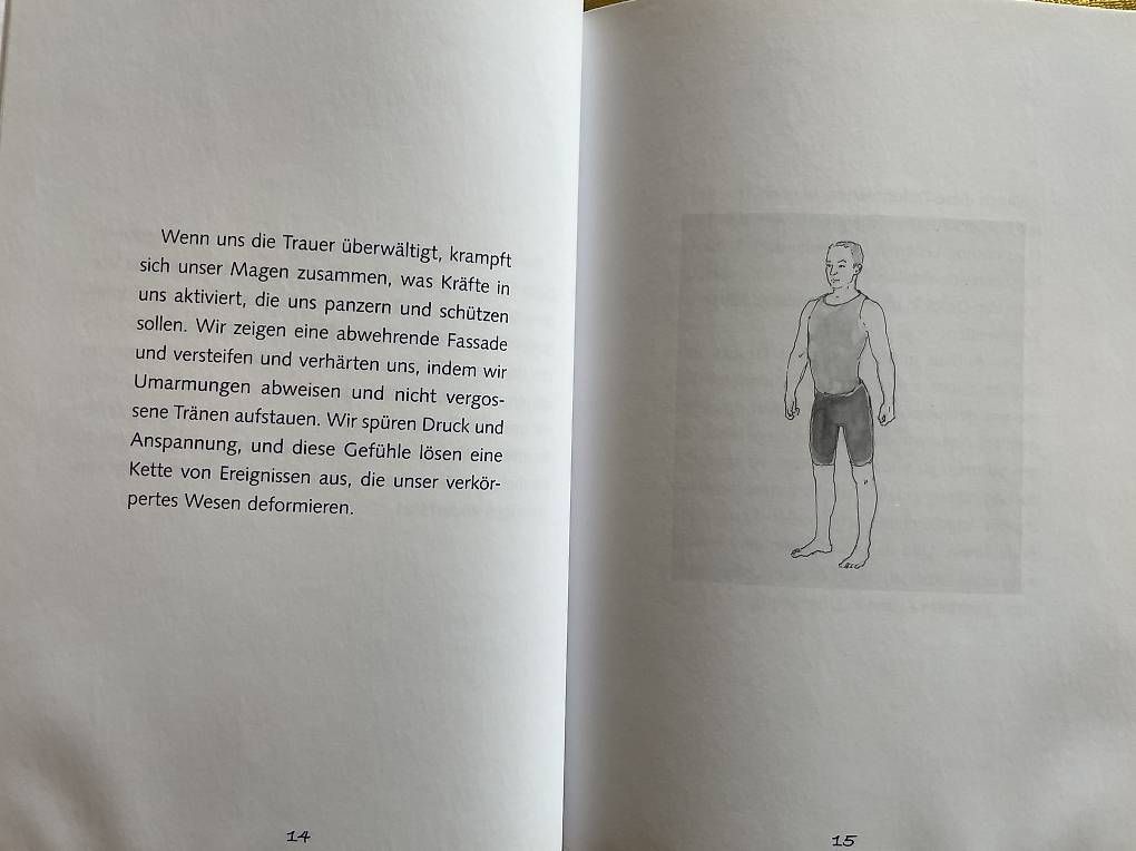 Libri: Buch: Integrität durch Gravitation und Tensegrität – Usato da Nesslau venduto da philgujer1 2