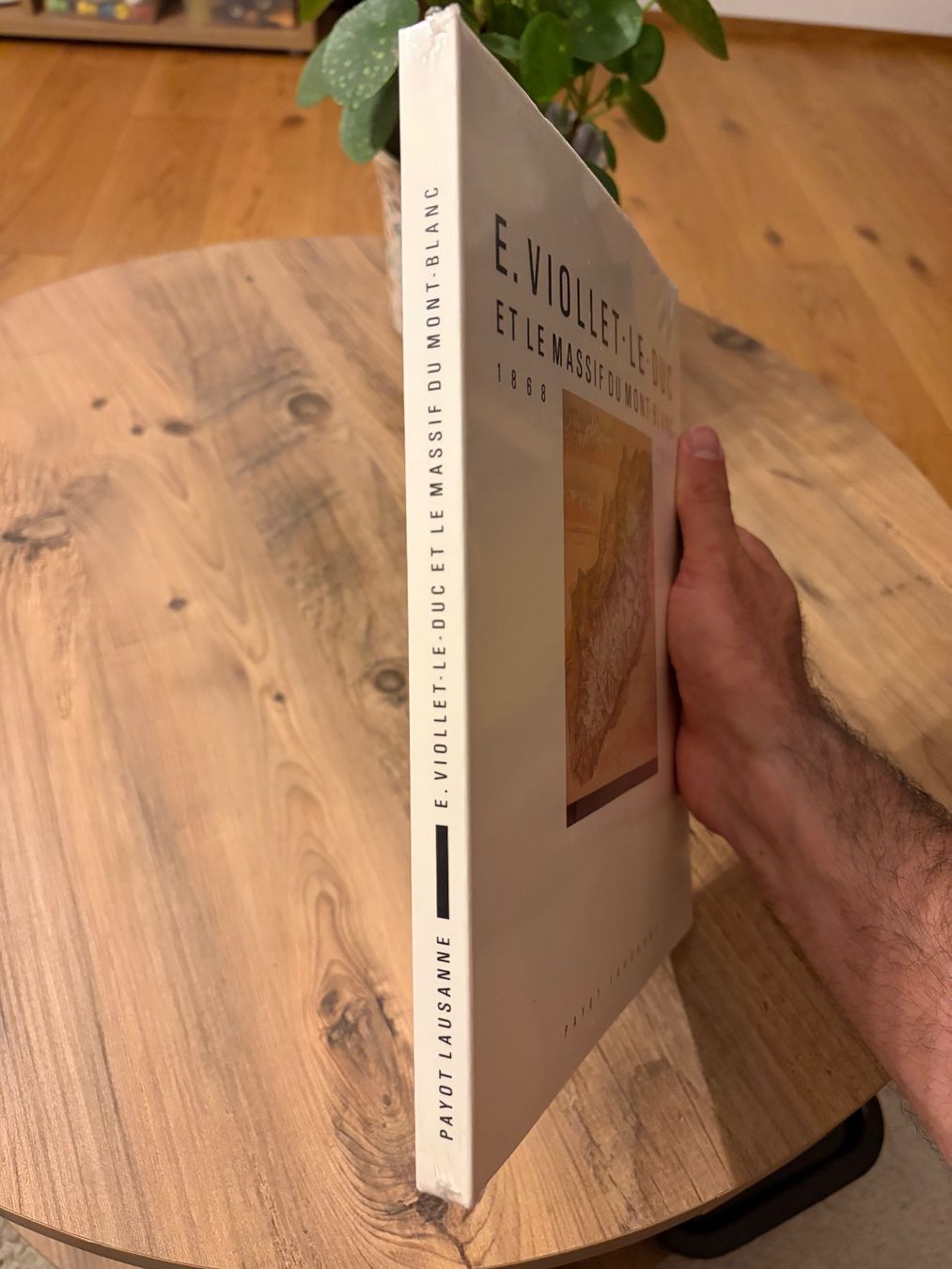 Libri: Viollet-le-Duc et le massif du mont blanc – Nuovo e nell'imballaggio originale da Froideville venduto da vin_ynl9 1