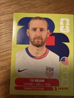 Panini Fifa USA 4