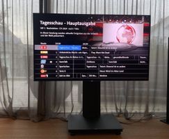 Fernseher Sony Bravia 65 Zoll, inkl. Ständer