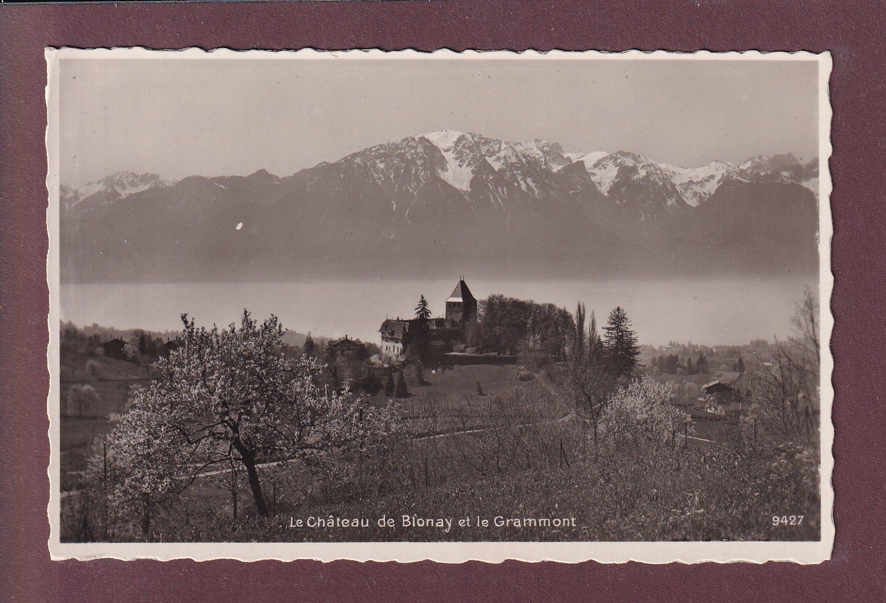 Ansichtskarten: BLONAY - Château - Grammont – Gebraucht aus Pully von nicecards