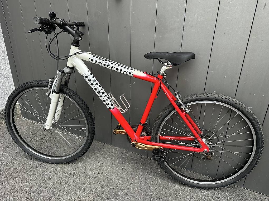 Biciclette: Bicicletta MTB 26  – Usato da Quartino venduto da DiloUsato 3