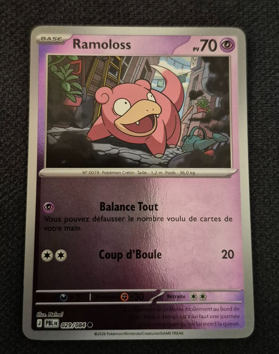 Pokémon Carte collezionabili: RAMOLOSS 029/084 REVERSE POKEMON NUIT NOIRE – Usato da Grand-Lancy venduto da luc111