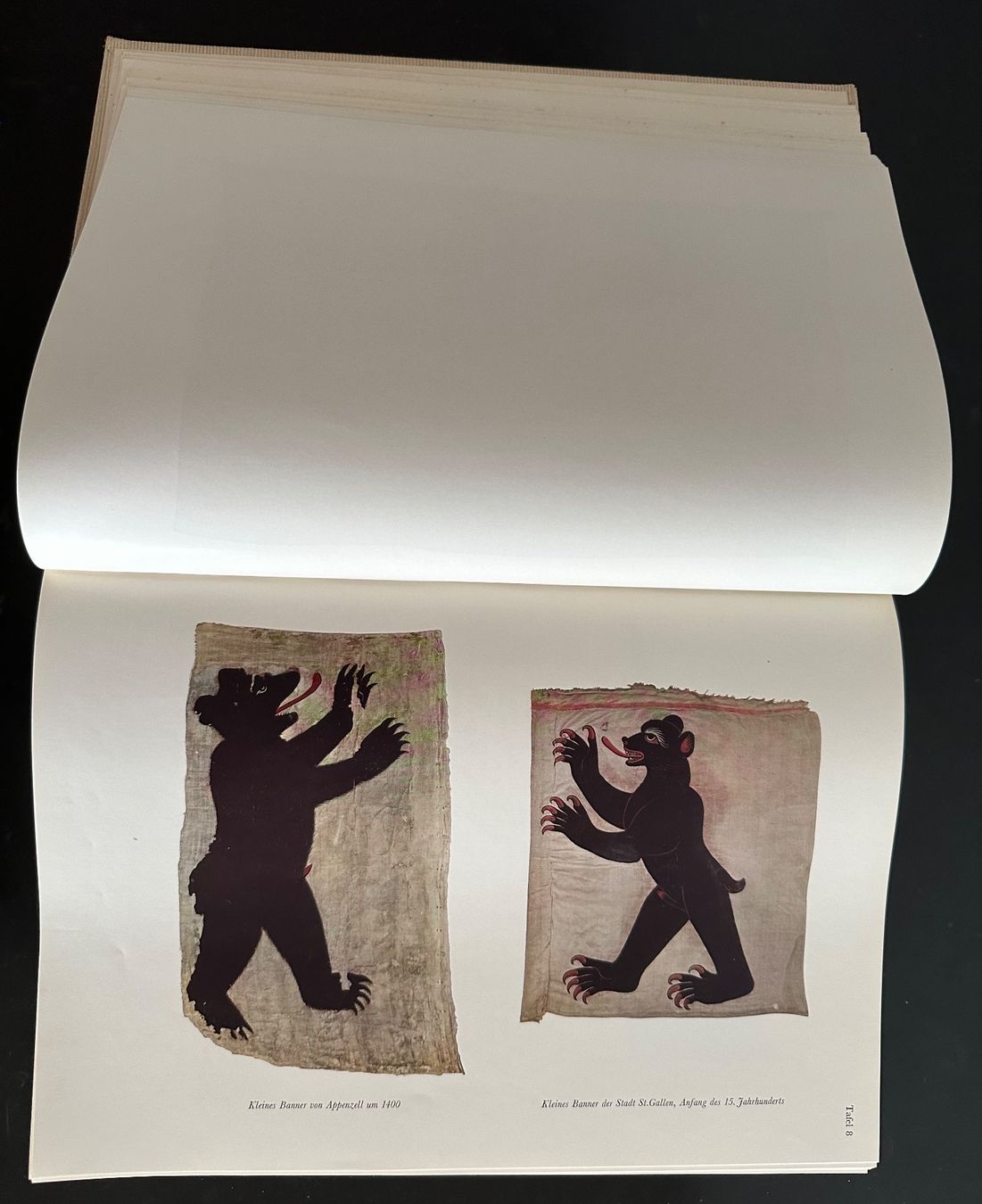 Livres: Fahnenbuch Schweiz – D'occasion à Kandergrund par honey-art_and_more 3