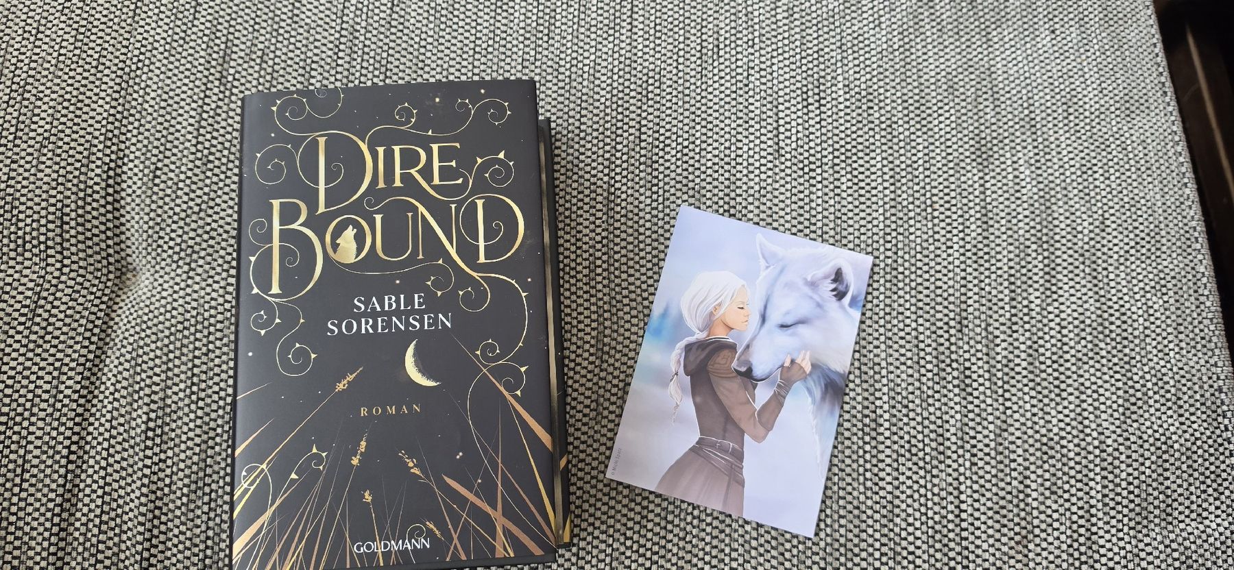 Libri: Sable Sorensen - Dire Bound – Nuovo (secondo la descrizione) da Neuhausen am Rheinfall venduto da Chaos_lady82