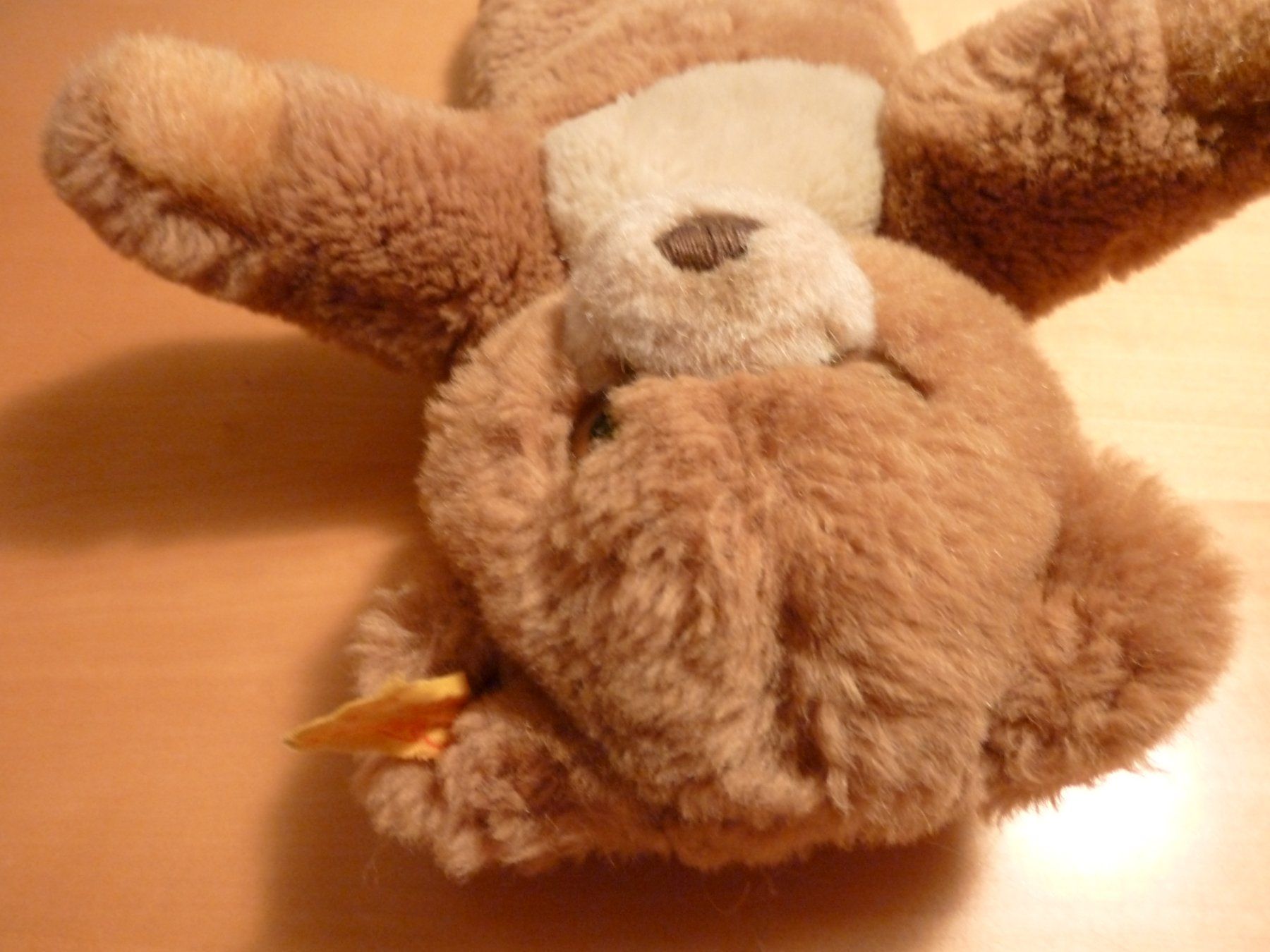 Steiff Giocattoli: Teddybär – Usato da Egg b. Zürich venduto da MissMarple2 1