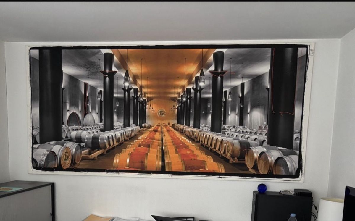 Foto & Immagini: BILD Leinwand 120 x260 cm Bitcoin – Usato da Zug venduto da Biki72 4