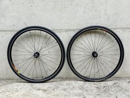 CODA EXPERT MAVIC CXP 33 Clincher LRS 26" TOPZUSTAND 2607