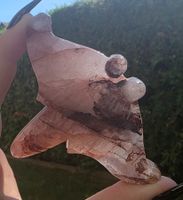 ❤️🌊 Feuerquarz Manta-Rochen – Handgeschnitztes Unikat 🌊❤️