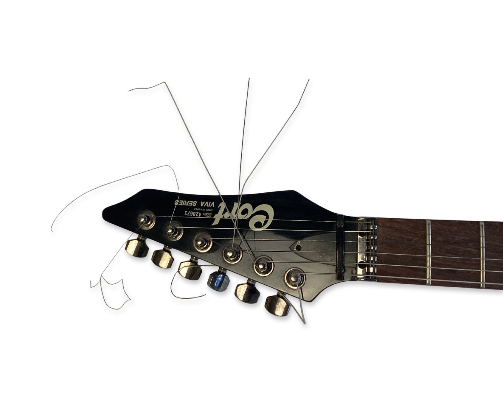 Cort Strumenti musicali: CORT E-Gitarre Viva Series – Usato da Zürich venduto da Restwert_Zuerich 5