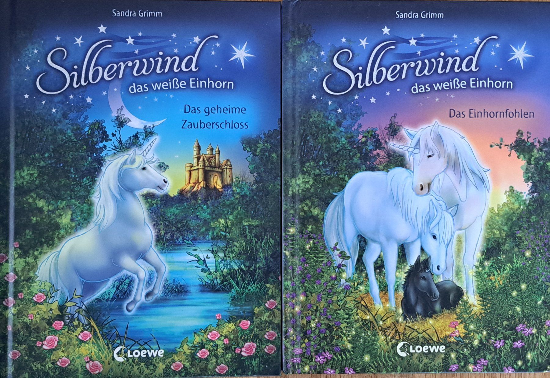 Bücher: Kinderbuch Silberwind – Gebraucht aus Kaiseraugst von