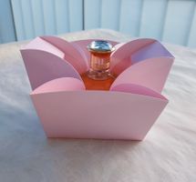 Eau de Toilette BLUMARINE,100 ml, 60 Fr.