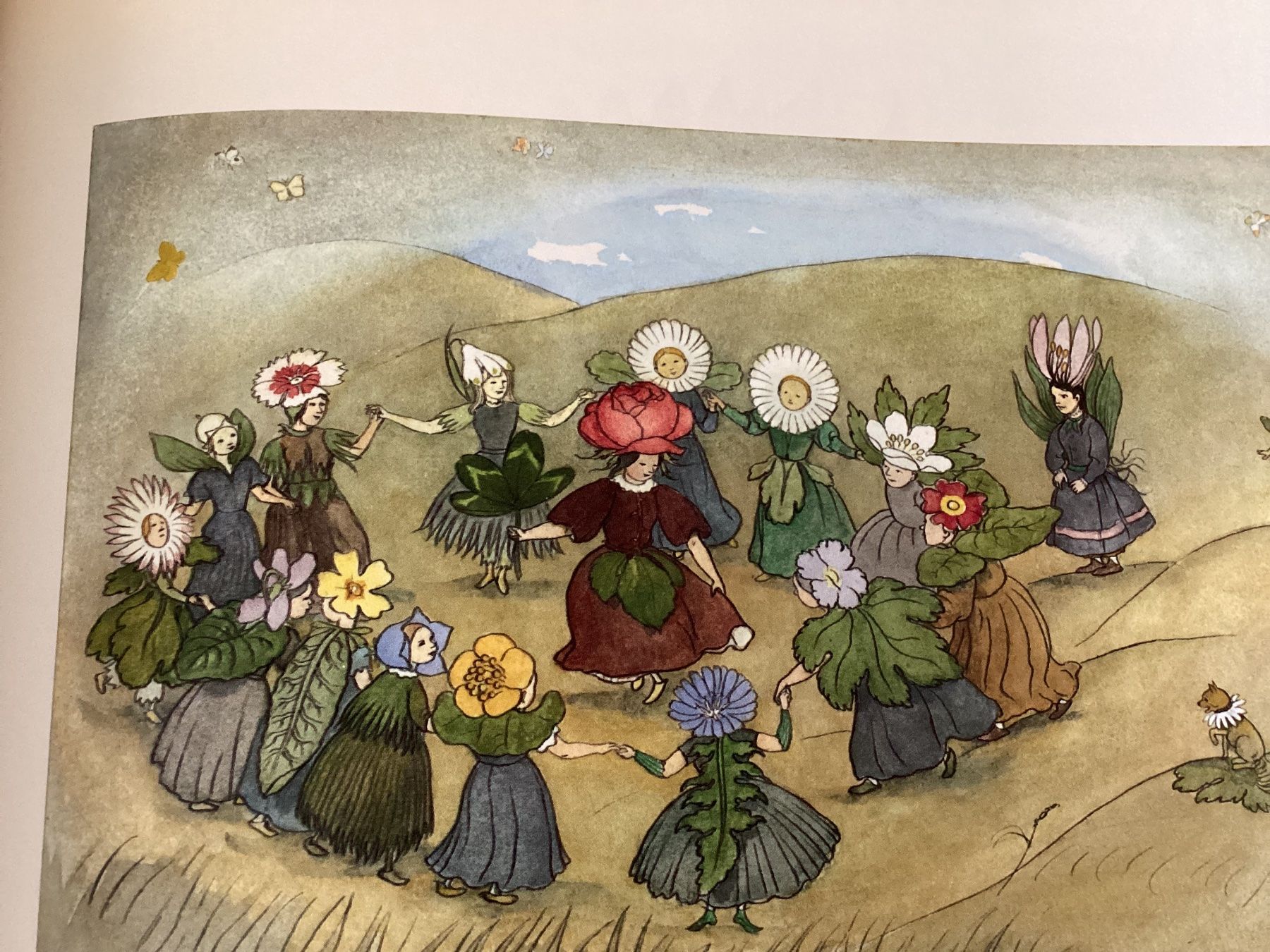 Libri: Ernst Kreidolf / Kinderbuch / Blumen-Märchen – Usato da Beinwil am See venduto da kae_gh7c 6