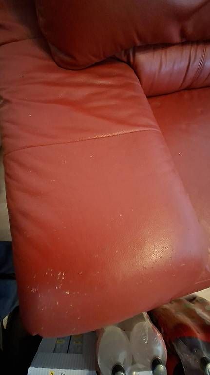 Sofas: Echtleder-Sofa, rot - bequem – D'occasion à Herisau par less_is_more 3