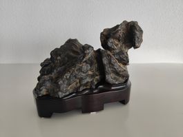 Suiseki / Gongshi - Unikat! Dragon