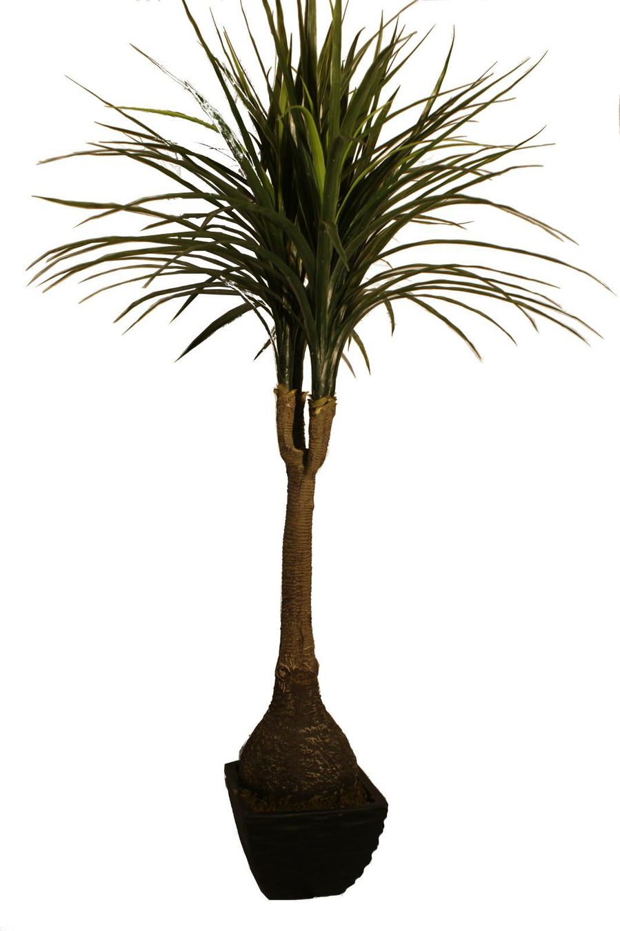 Piante e fiori finti: Decoflower Ficus Baum – Nuovo e nell'imballaggio originale da Däniken SO venduto da Profog1