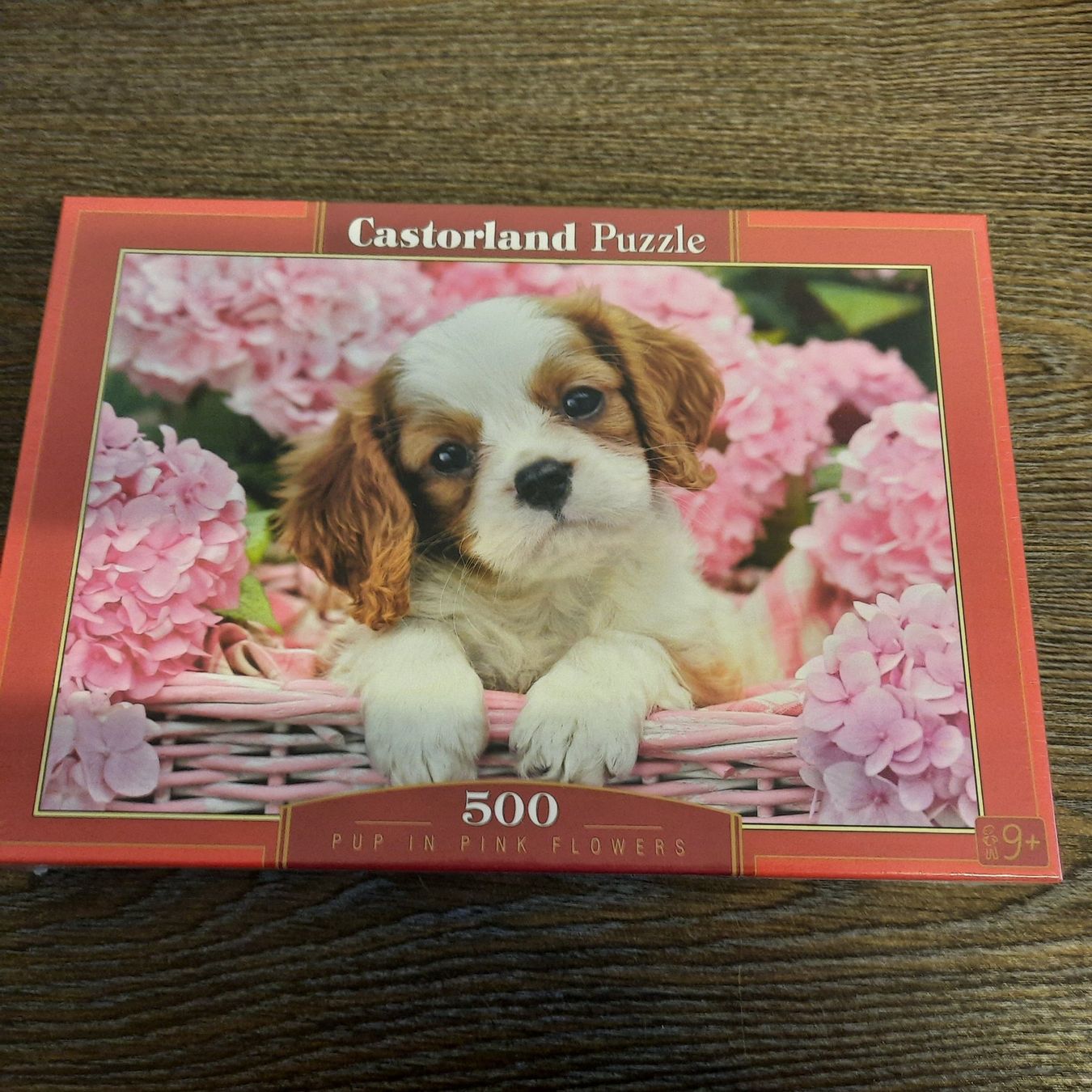 Puzzles: Castorland Puzzle 500 Teile / Neu+OV – Neu und originalverpackt aus Buochs von Nyima21