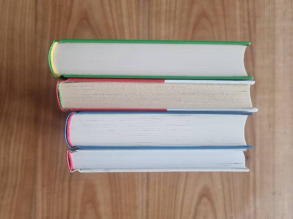 Bücher: Comicromane für Kinder – Gebraucht aus Zürich von Thoraxl 2