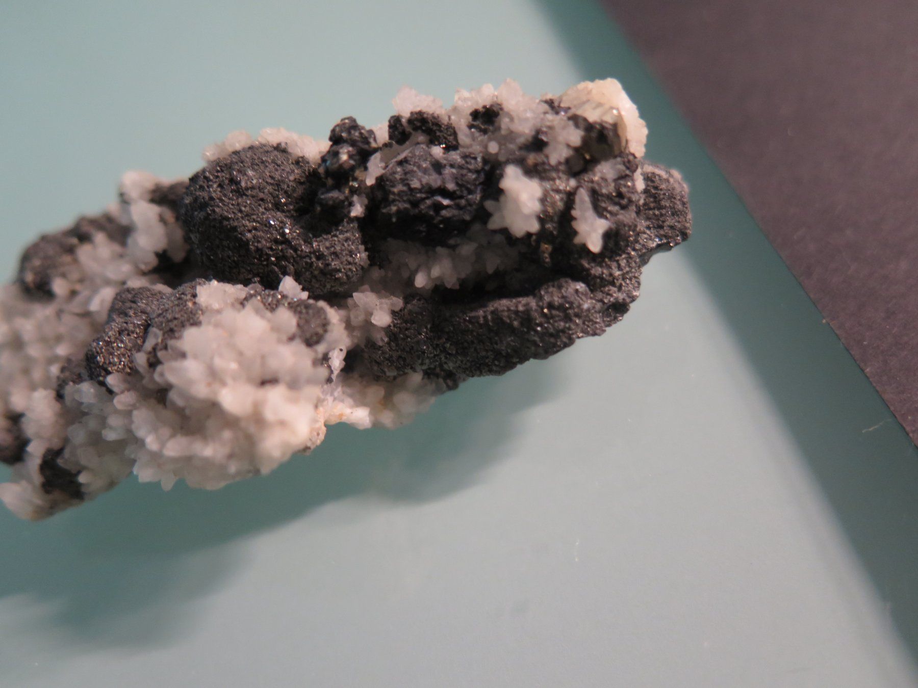 Minerali & Pietre curative: Sphalerit, Pyrit auf Quarz von Rumänien – Usato da Schaffhausen venduto da Yamakana51L8736OQ8 5
