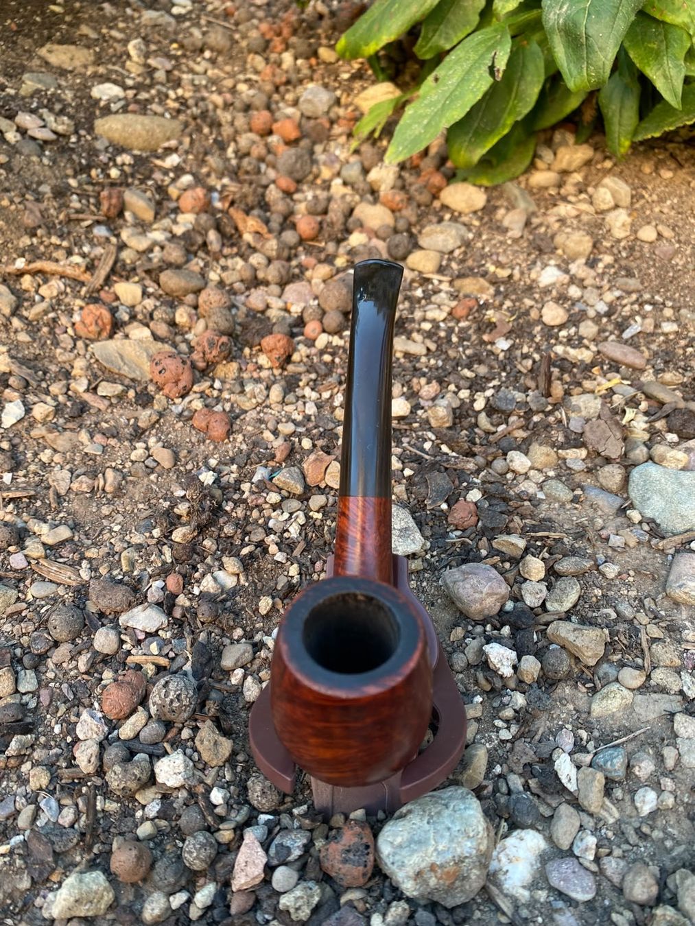 Pipe & Accessori: Tabak Pfeife Stanwell – Usato da Schänis venduto da M.a.r.k.85 2