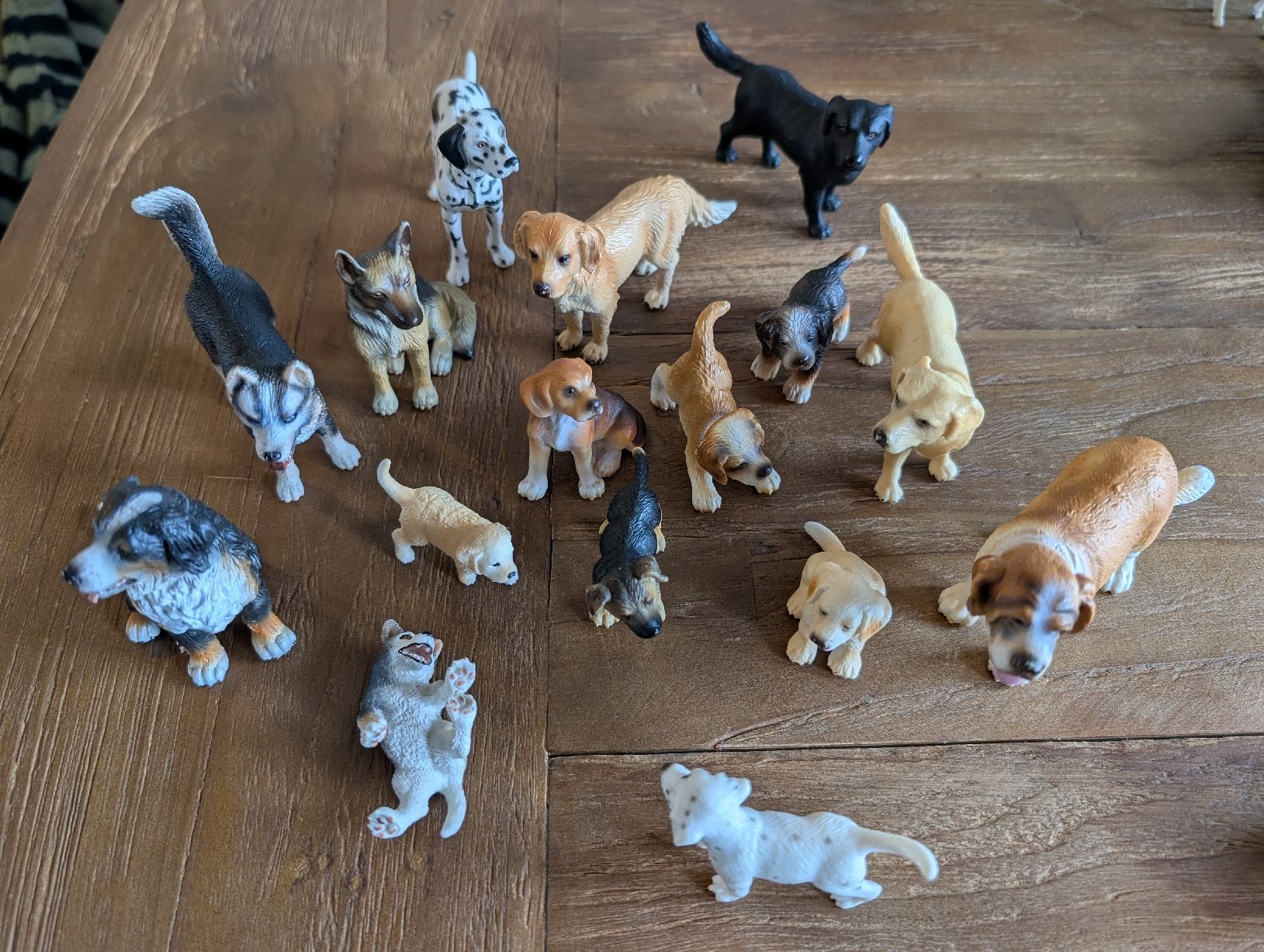 Schleich Giocattoli: Schleich-Set: Hunde – Usato da Schaffhausen venduto da RamonaPK