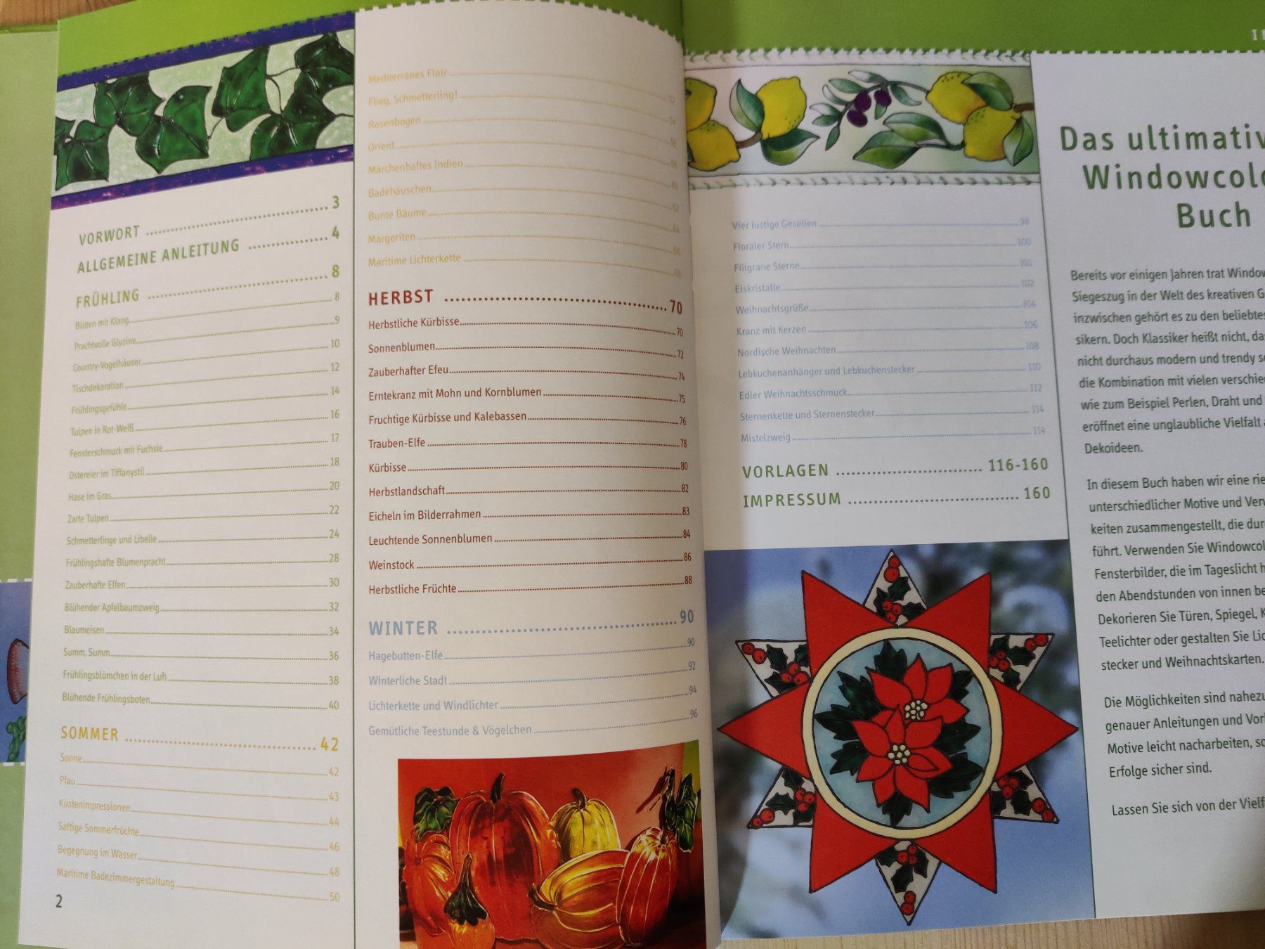 Libri: Das ultimative WindowColor Buch / Toop 2007 – Usato da Muttenz venduto da Negnuja 1
