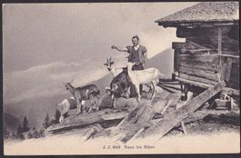 Bauernleben Landwirtschaft Dans les Alpes Bauer mit Ziegen