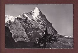 GRINDELWALD - Eiger - 1962