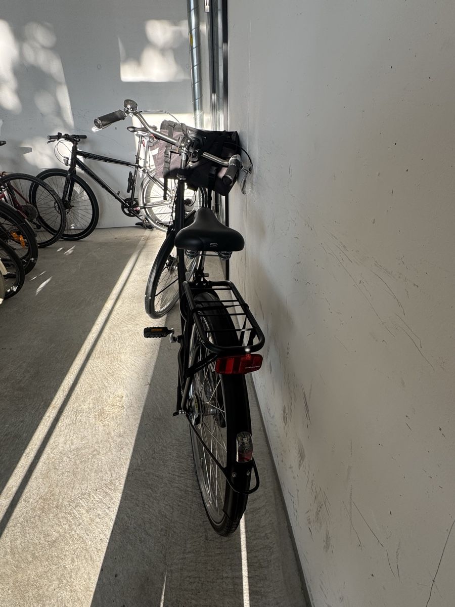 Batavus Biciclette: Batavus Old Dutch from 2020 – Usato da Schlieren venduto da mel_sn7c 2