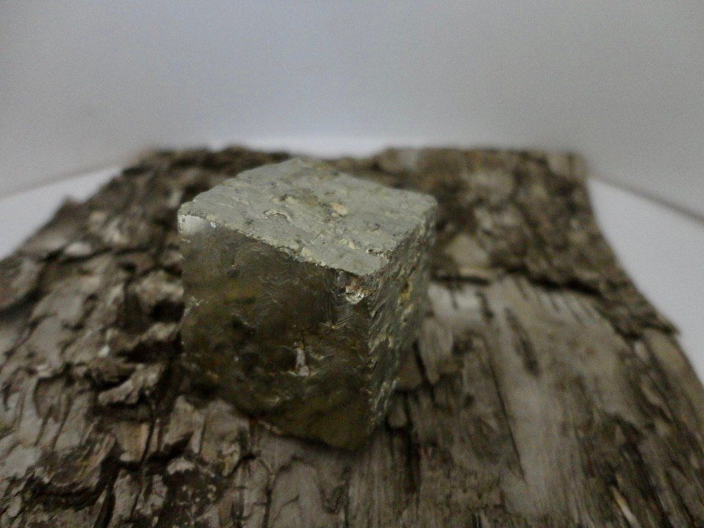 Minerali & Pietre curative: Pyrit roh – Nuovo (secondo la descrizione) da Biberist venduto da Steine 1