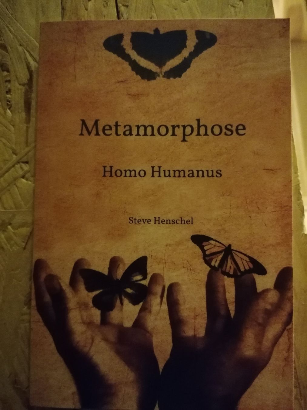 Bücher: Buc: Metamorphose. Homo Humanus. Steve Henschel – Gebraucht aus Wahlen b. Laufen von Aweiss