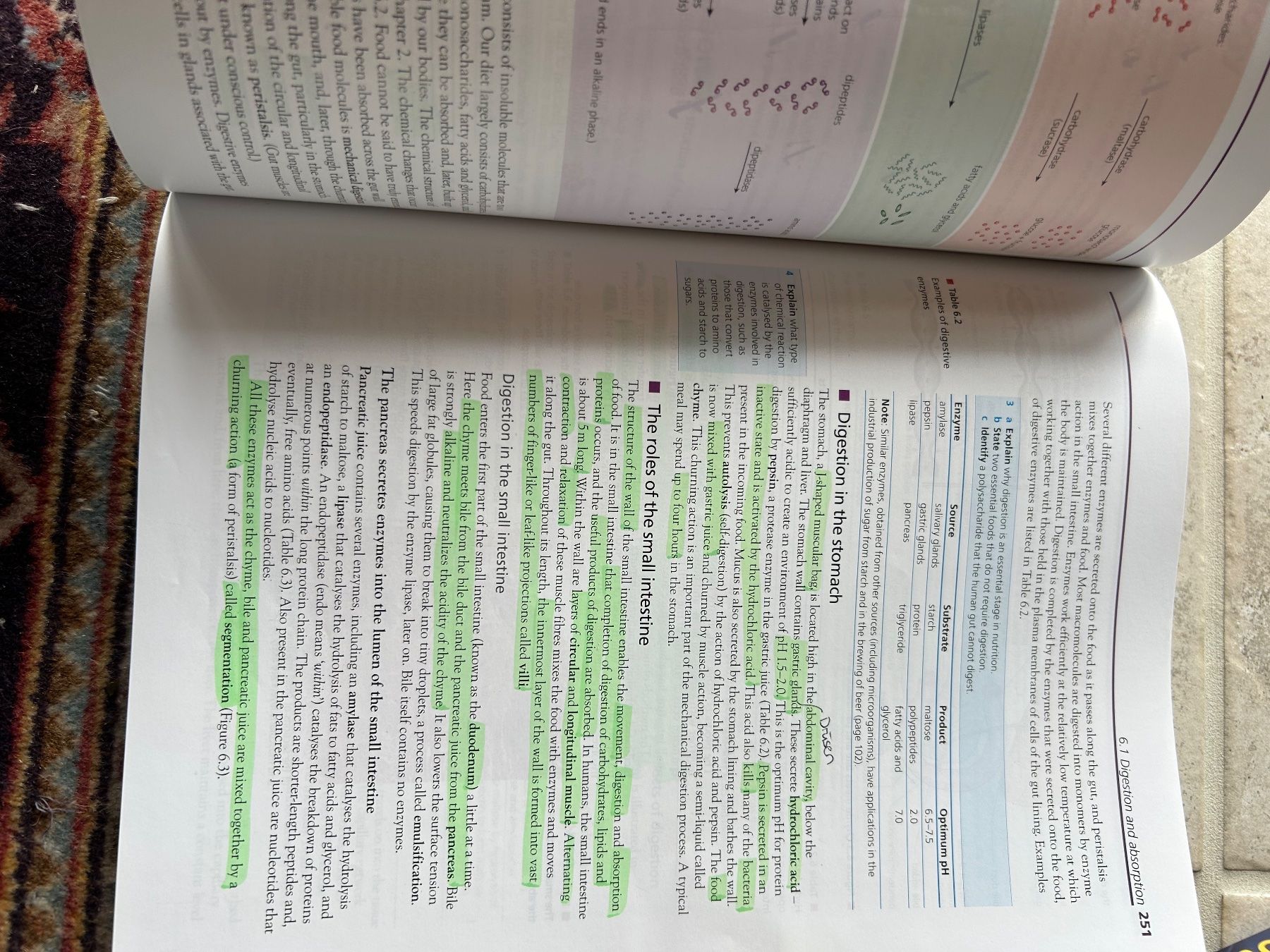 Libri: Biology by C.J.Clegg – Usato da Seuzach venduto da hsu_7nqs 2