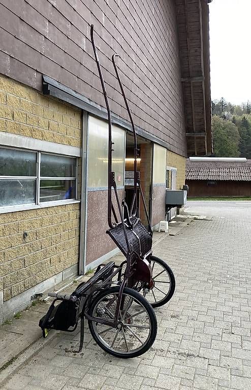 Carrozze: Kutsche mit Geschirr, gebraucht und neu – Usato da Brügg BE venduto da Nayeli02 2