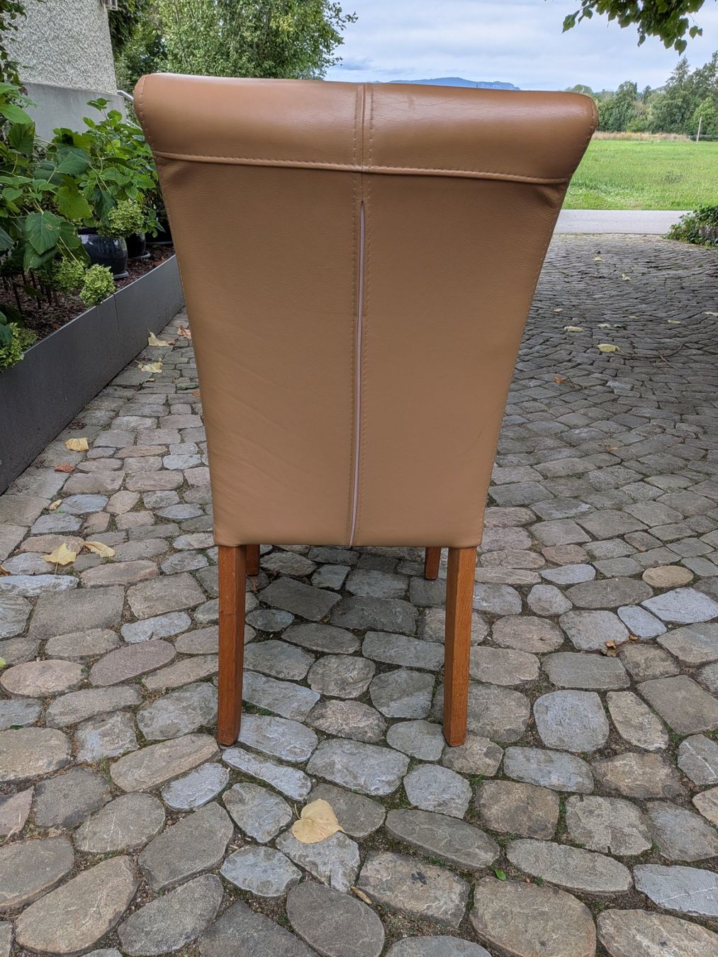 Chaises: 2 Esszimmerstühle Leder – D'occasion à Aefligen par madakape 2