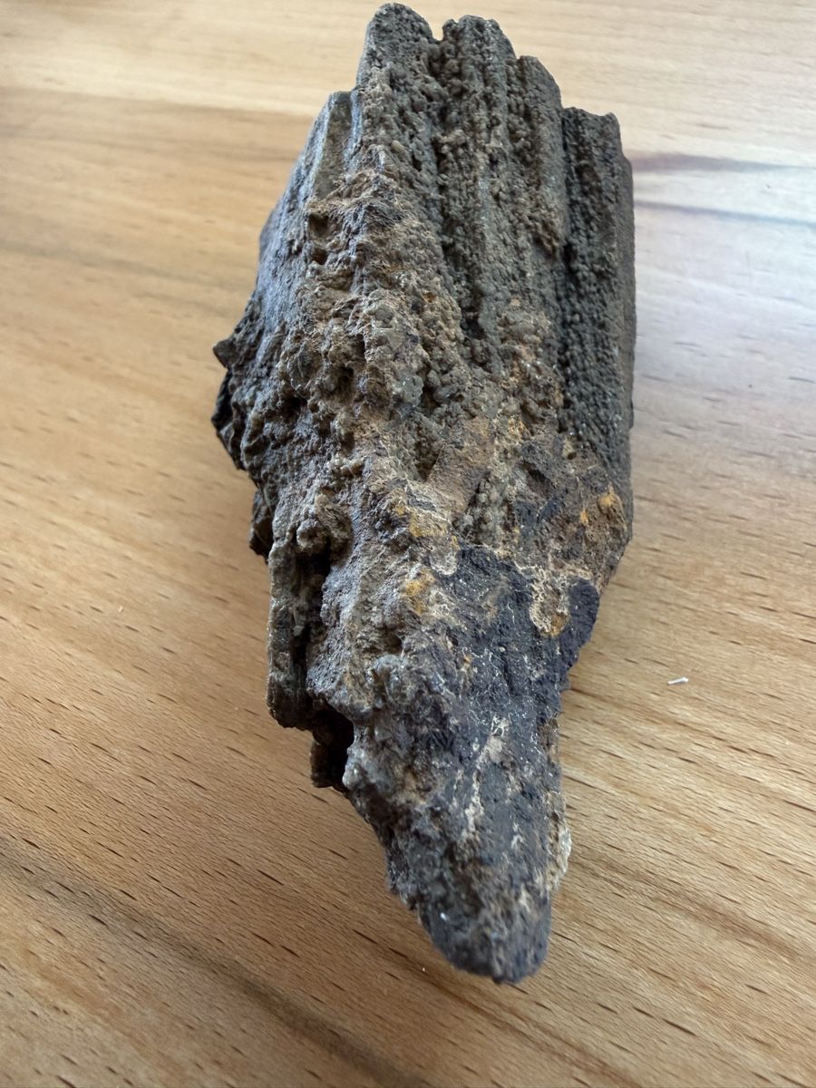 Fossili: Versteinertes Holz – Usato da Grenchen venduto da Bastet007 4