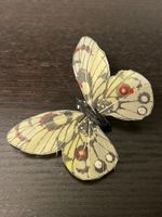 Schmetterling für Frühlingsdeko