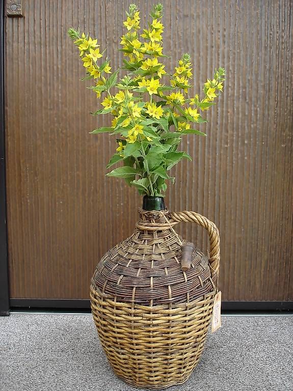 Tutte le decorazioni: Korbflasche, Vintage, Vase;  urs5352 – Usato da Boppelsen venduto da urs5352
