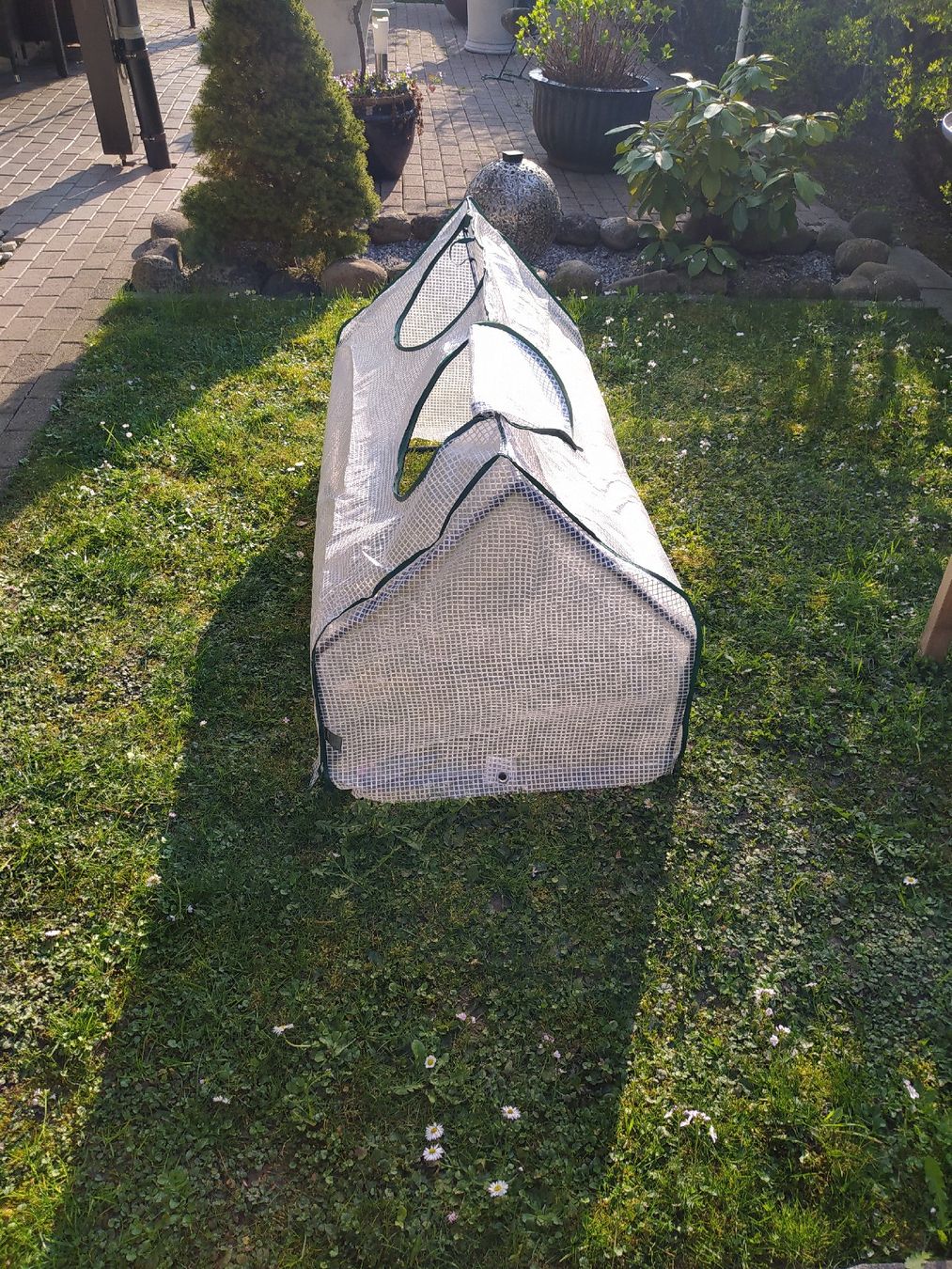 Box contenitori: Gartengewächshäuschen 2 Stk. – Usato da Weiningen ZH venduto da Vitanyi 1