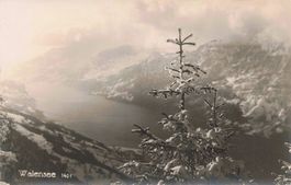 Walensee